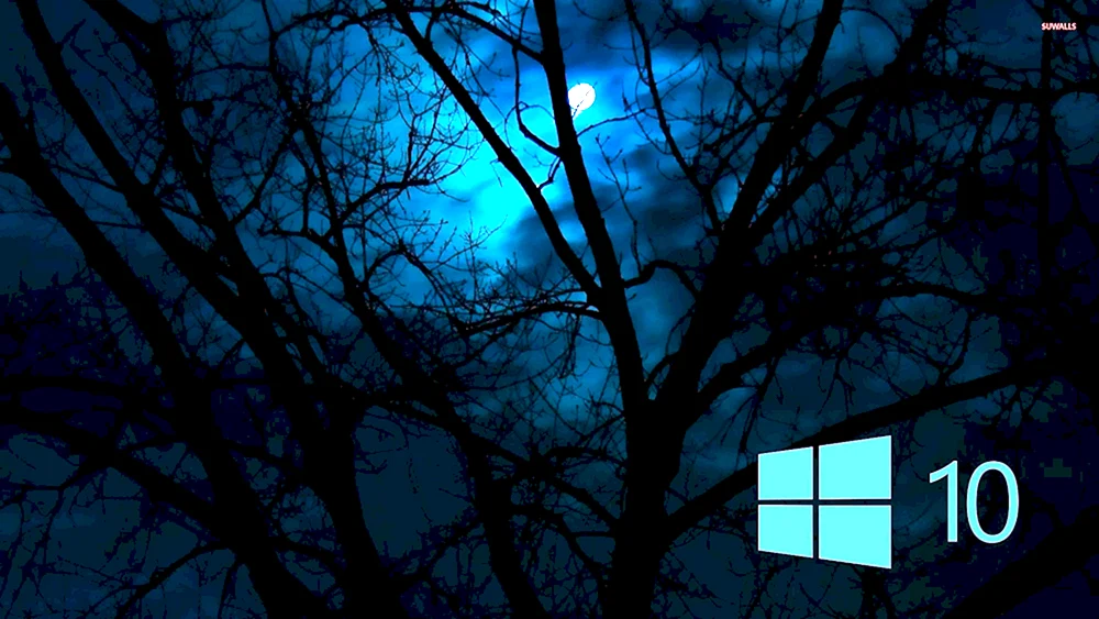 ASUS Windows 10