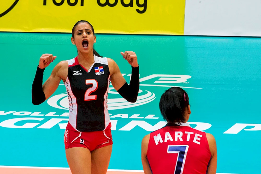 Volleyballerin Fernandez