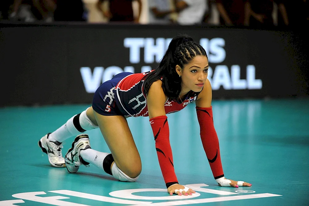 Fernandez Perez Volleyballspieler