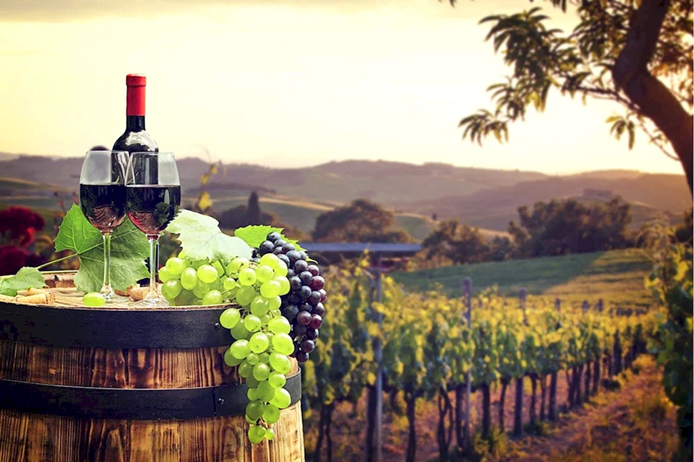 Winery Armenia Wine