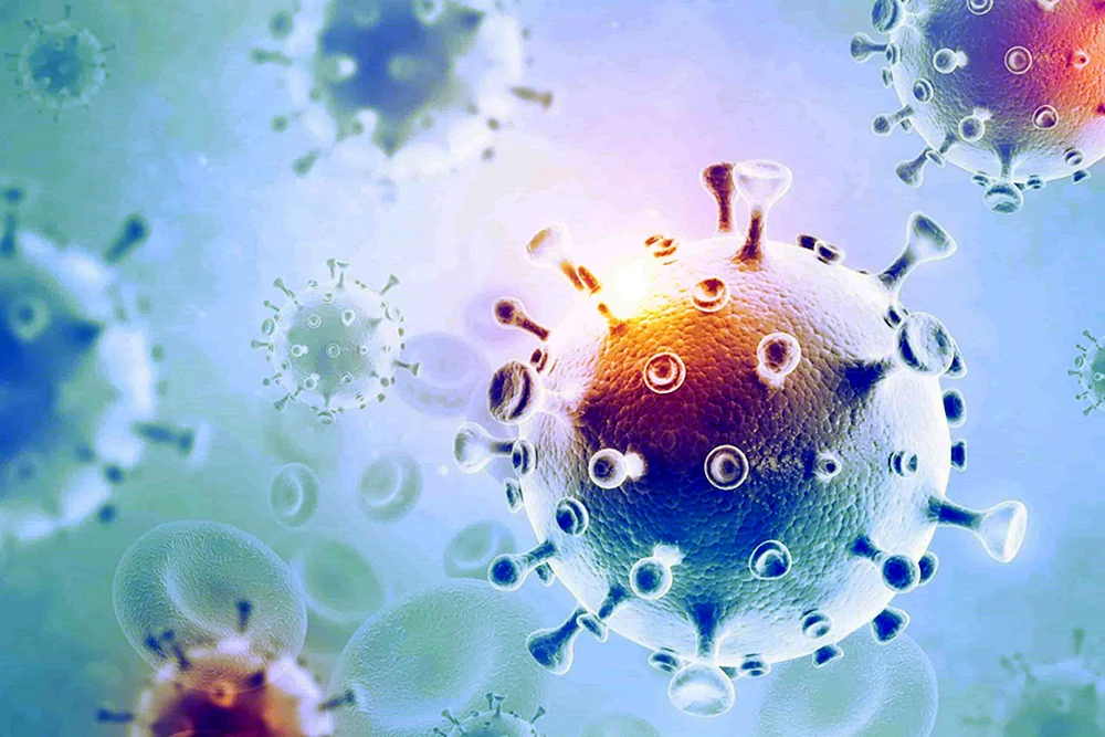 Virus Coronavirus Mikrobiologie