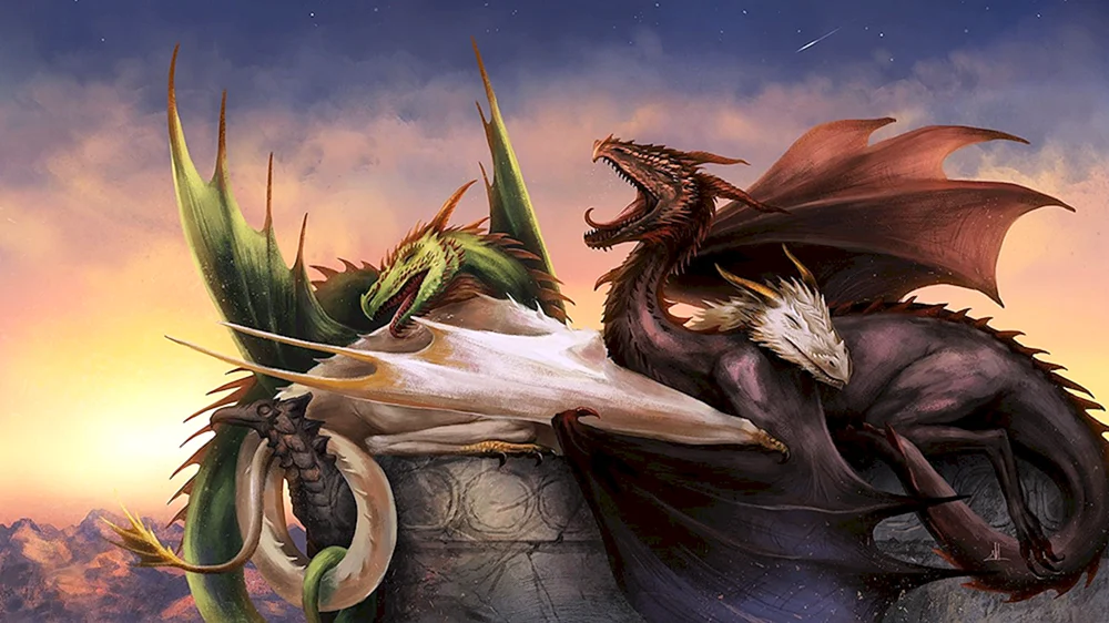 Der schöne Drache