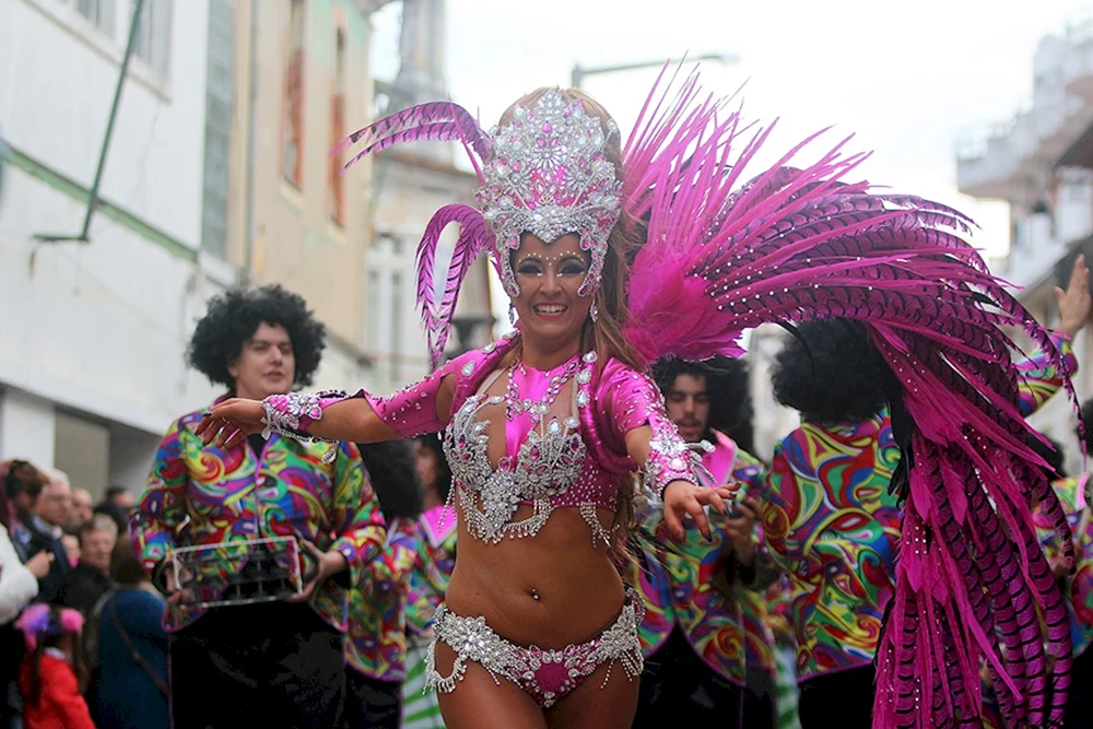 Vlada Karneval