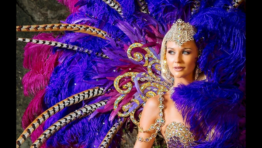 Vlada Karneval