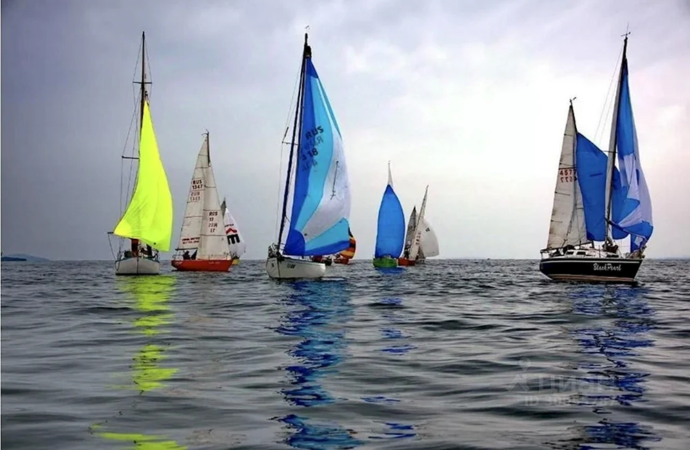 Segelregatta St. St. Petersburg