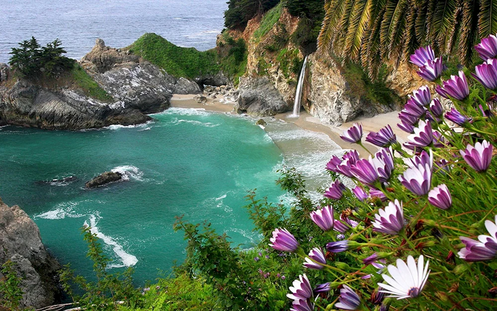 McWay Falls