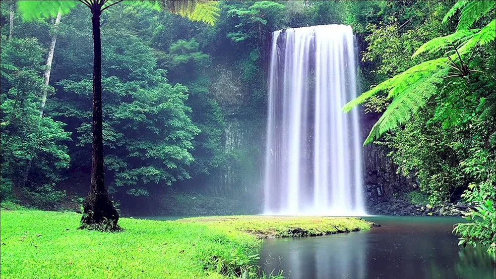 Wasserfall Tropen