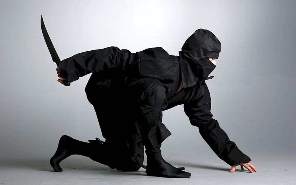 Ninja Ninja Krieger und Ninjutsu