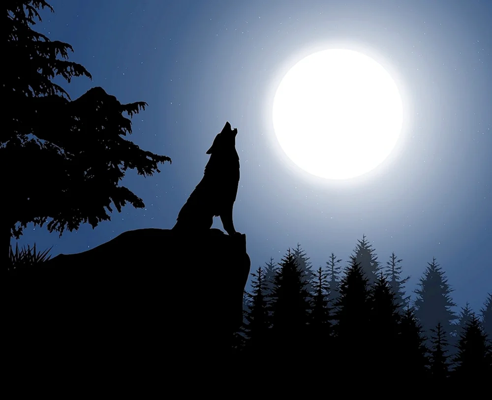 Wolf und der Mond