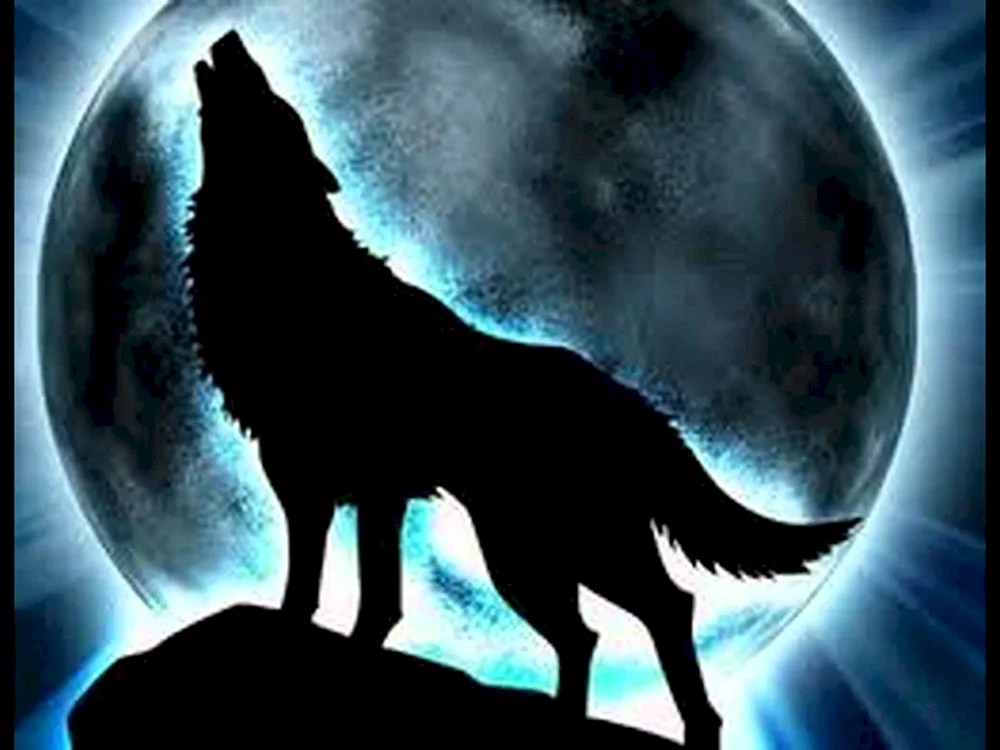 Wolf