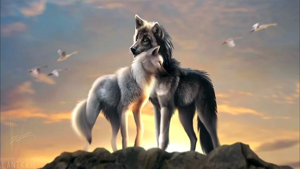 Weißer Wolf