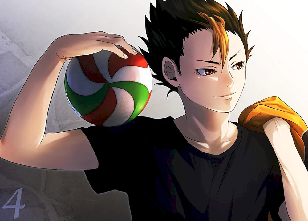 Anime-Volleyball haikyu