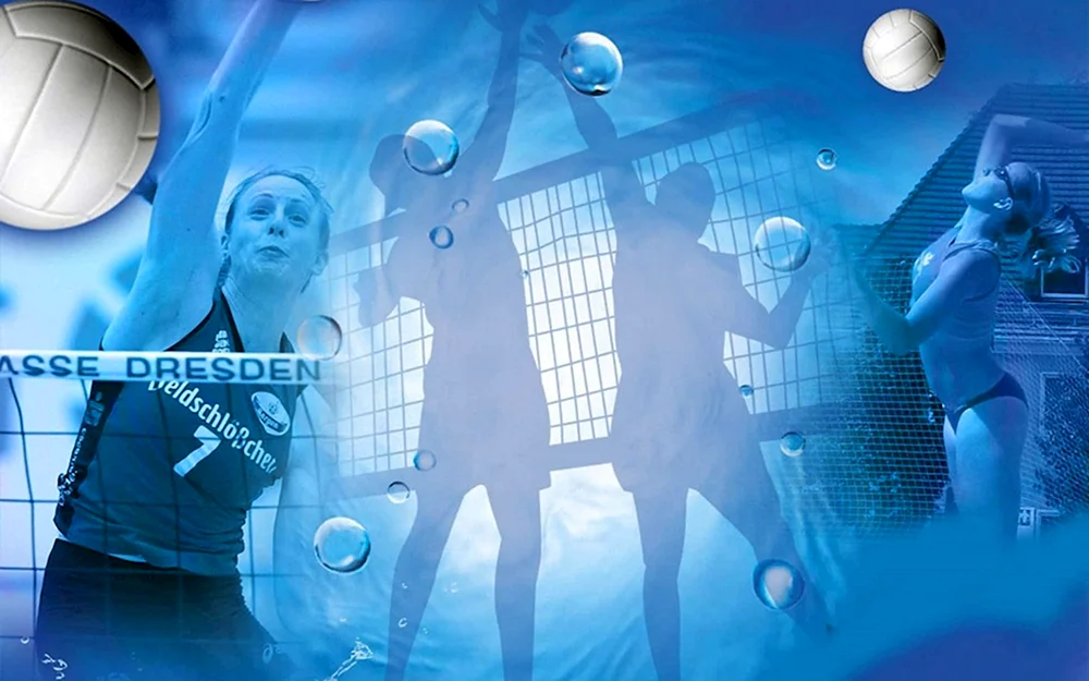 Volleyball Frauen Volleyball