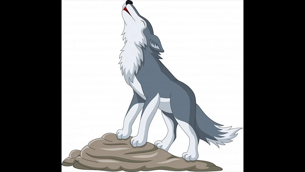 Wolf Kartun grauer Wolf