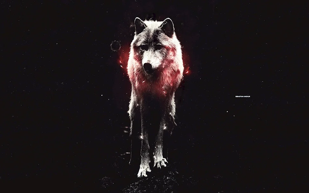 Wolf der südlichen Rockies