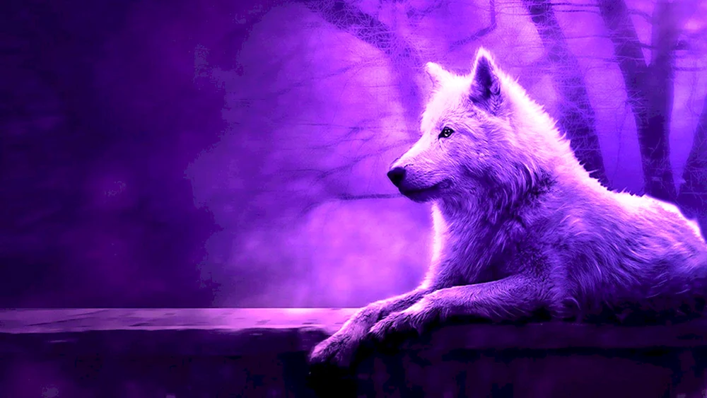 Wolf Tapeten