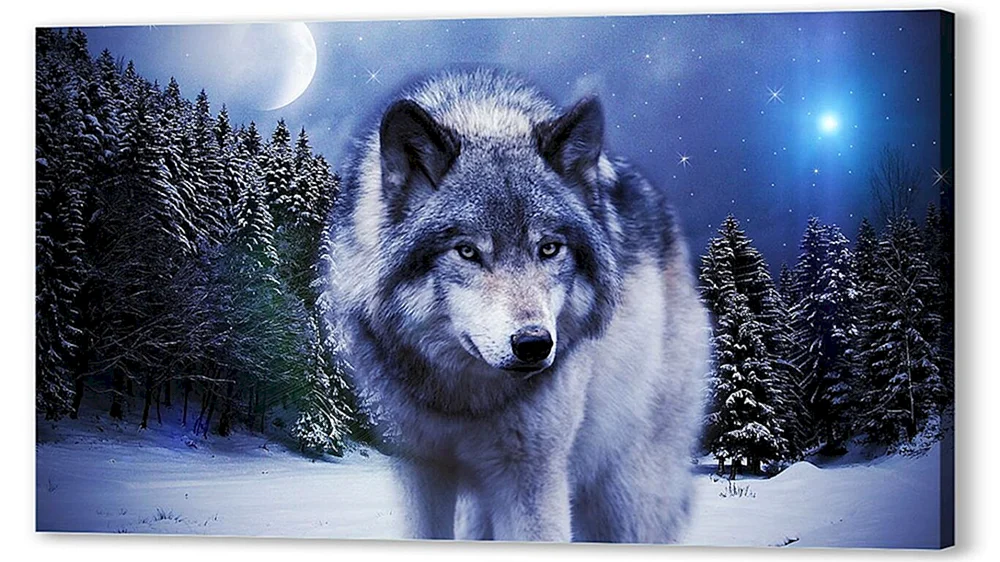 Rassischer Wolf Wolf