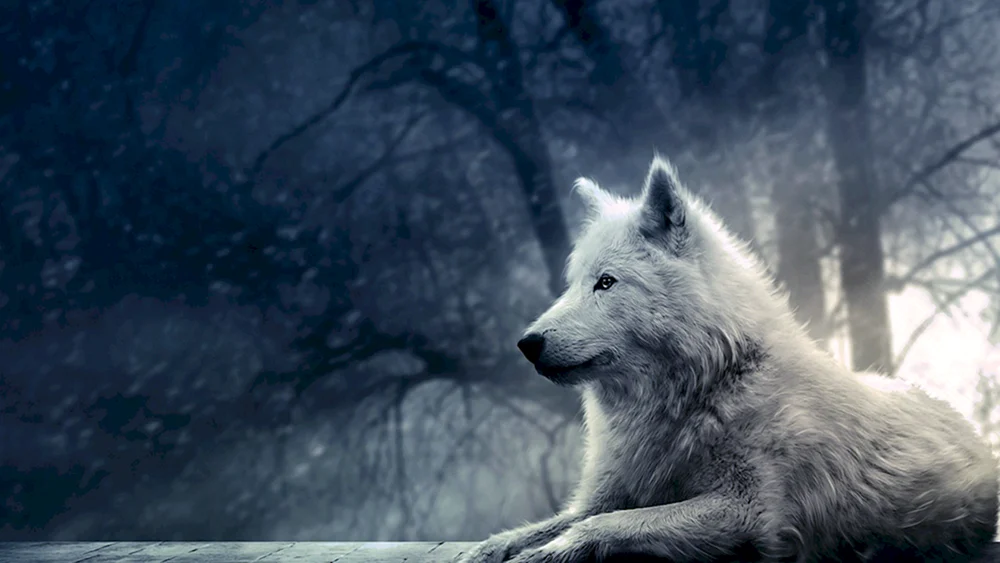 Wolfsregen