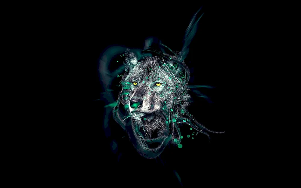 Leopard melanist