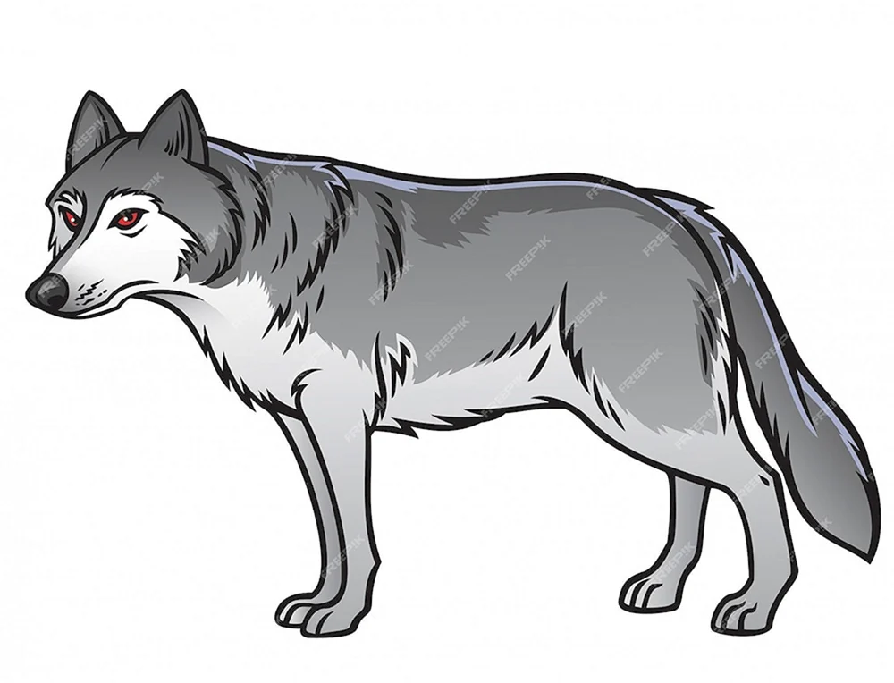 Wolf für Kinder
