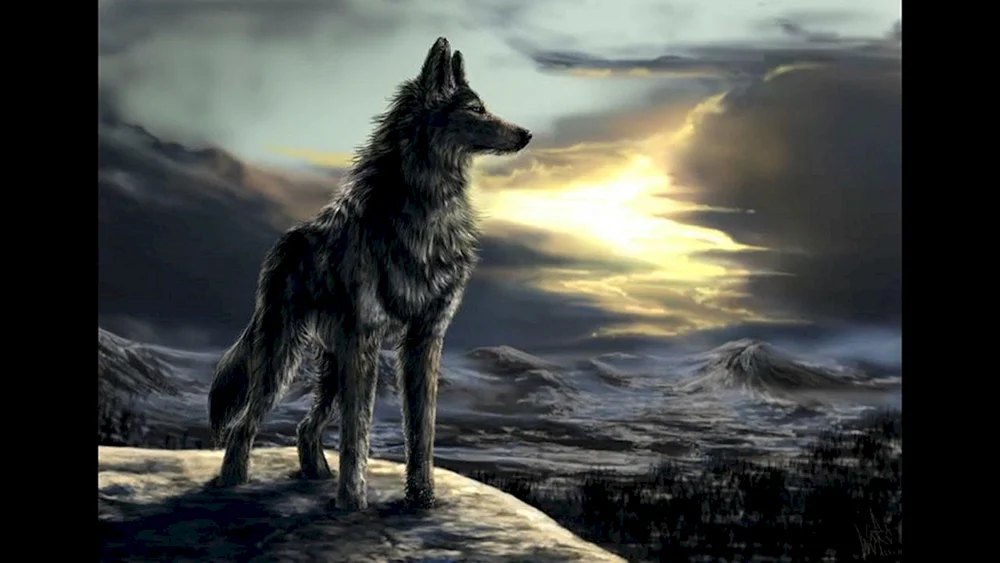Schöner Wolf