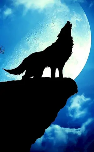 Wolf und der Mond