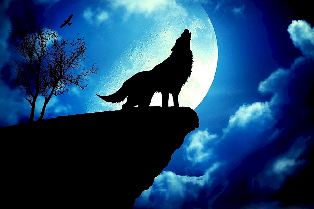 Wolf und der Mond