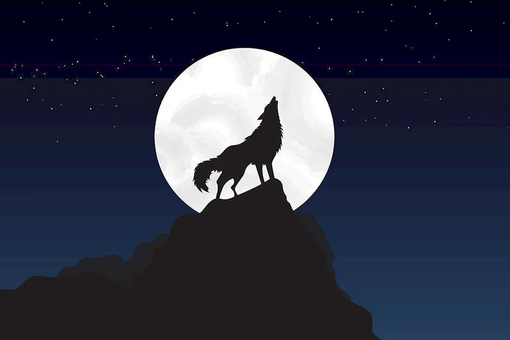 Wolf in der Nacht