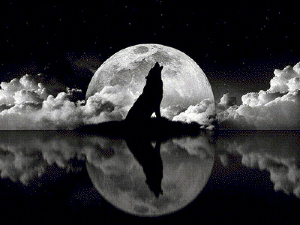 heulender Wolf