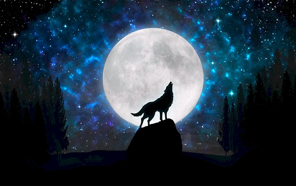Wolf und der Mond
