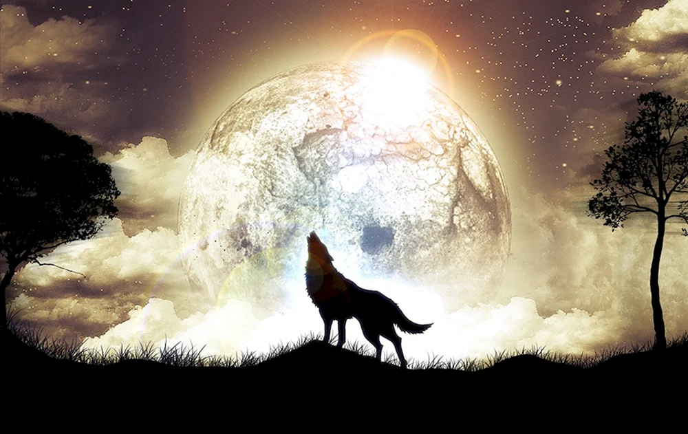 Schöner Wolf