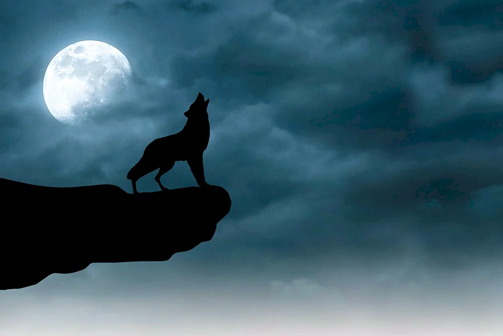 Wolf und Luna