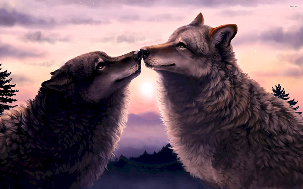 Wolf und der Wolf