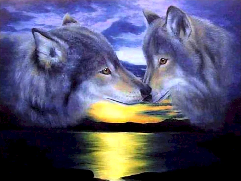 Wolf und der Wolf Liebe