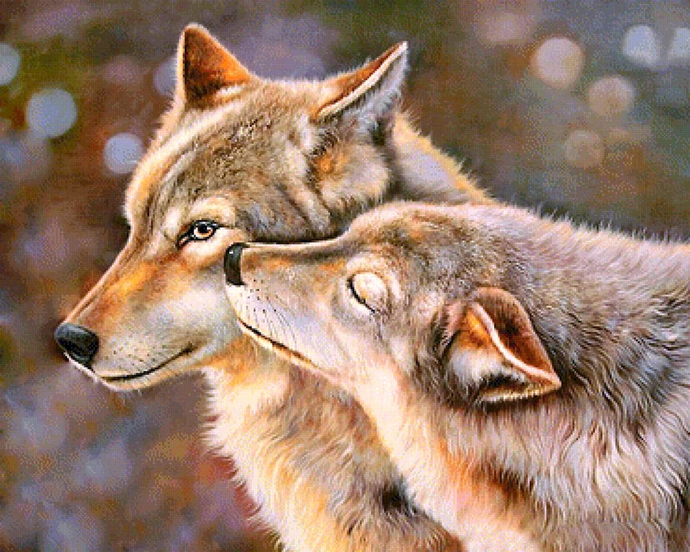 Wolf und der Wolf Liebe