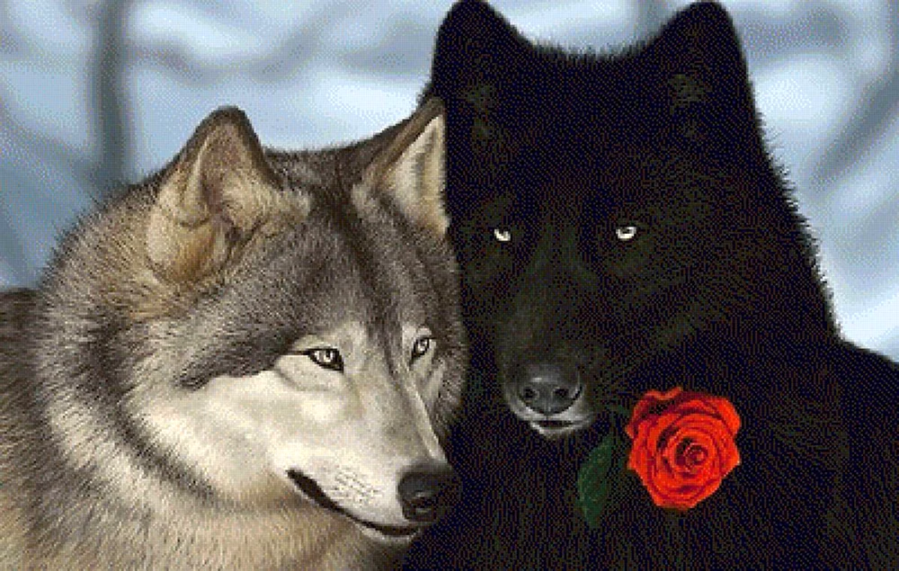 Wolf