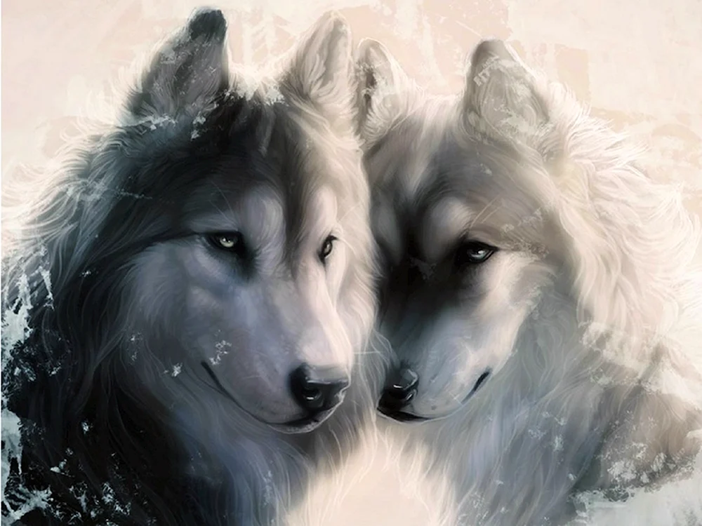 Wolf und Wölfin Liebe