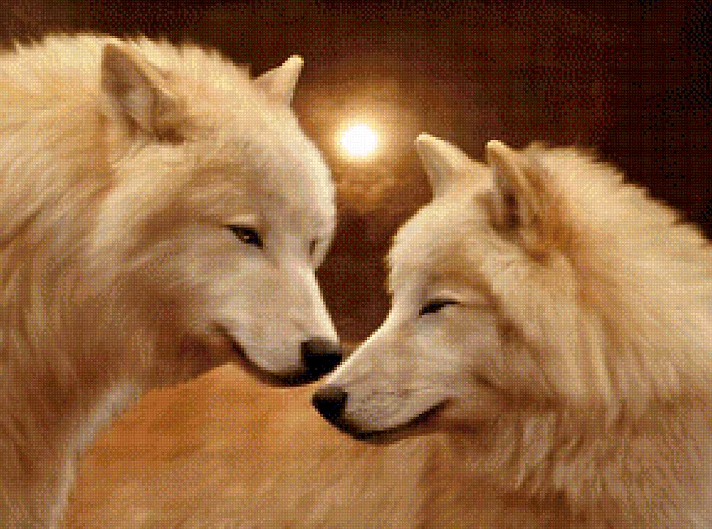Wolf und der Wolf