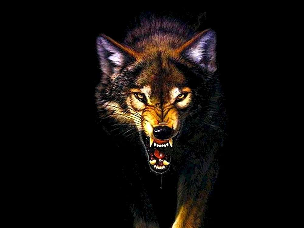 Wolfsbeißer