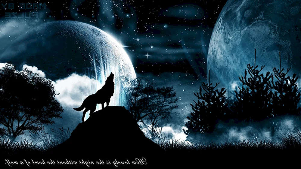 Schöner Wolf
