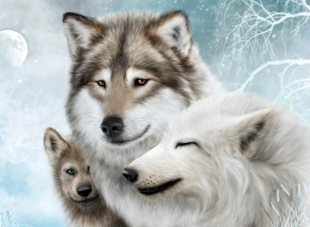 Wolfsbilder für den Desktop Wölfe