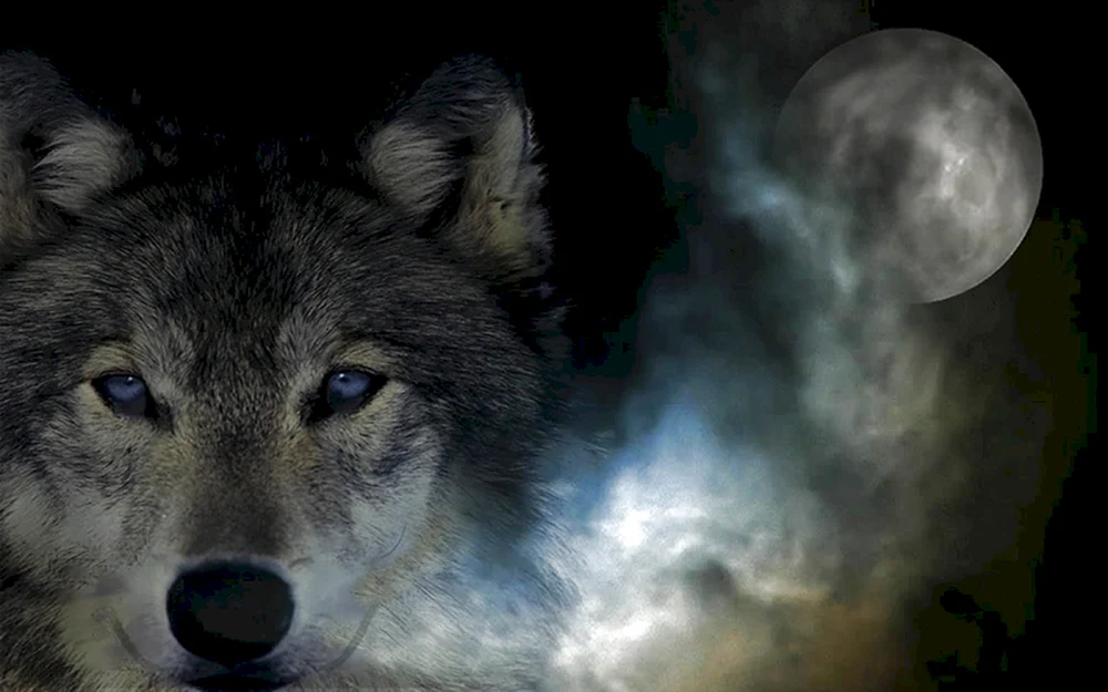 Wolfstapete