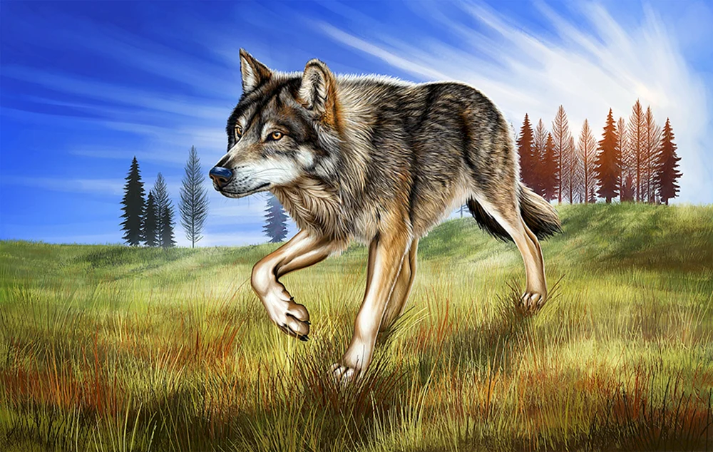 Wolf Tapete