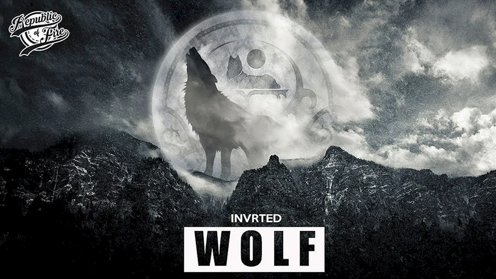 Wolf wallpaper