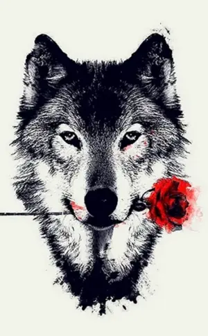 Wolf Wallpaper