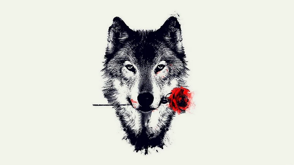 Wolf Wallpaper