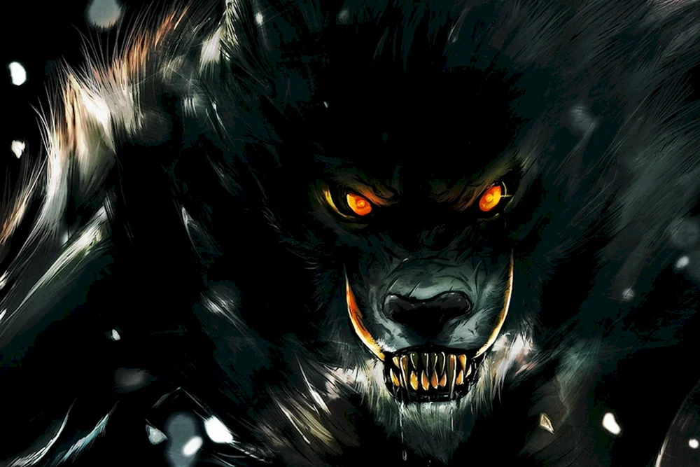 Schwarzer Wolf Wolf Wolfsmann Wolf