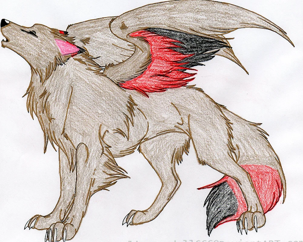 Wolf Zeichnung