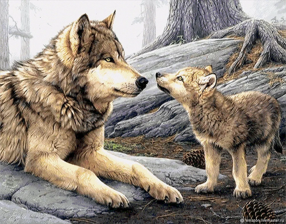 Wolf