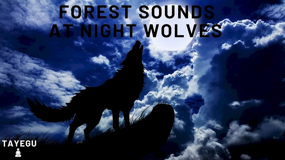Wolf und Luna